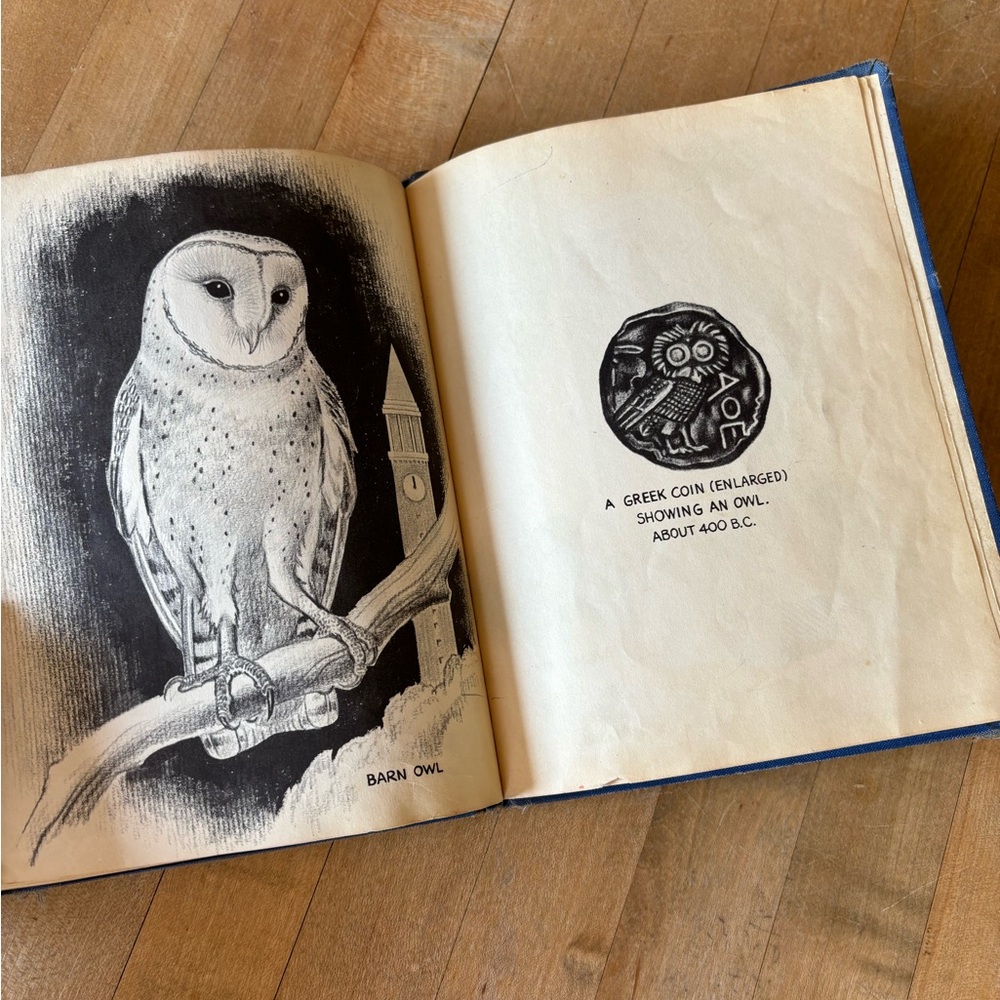 Vintage 60’s Owl Book - Picture 10 of 13